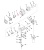 ST1061036 O-ring, (Quad Ring) 0.801 X 0.070